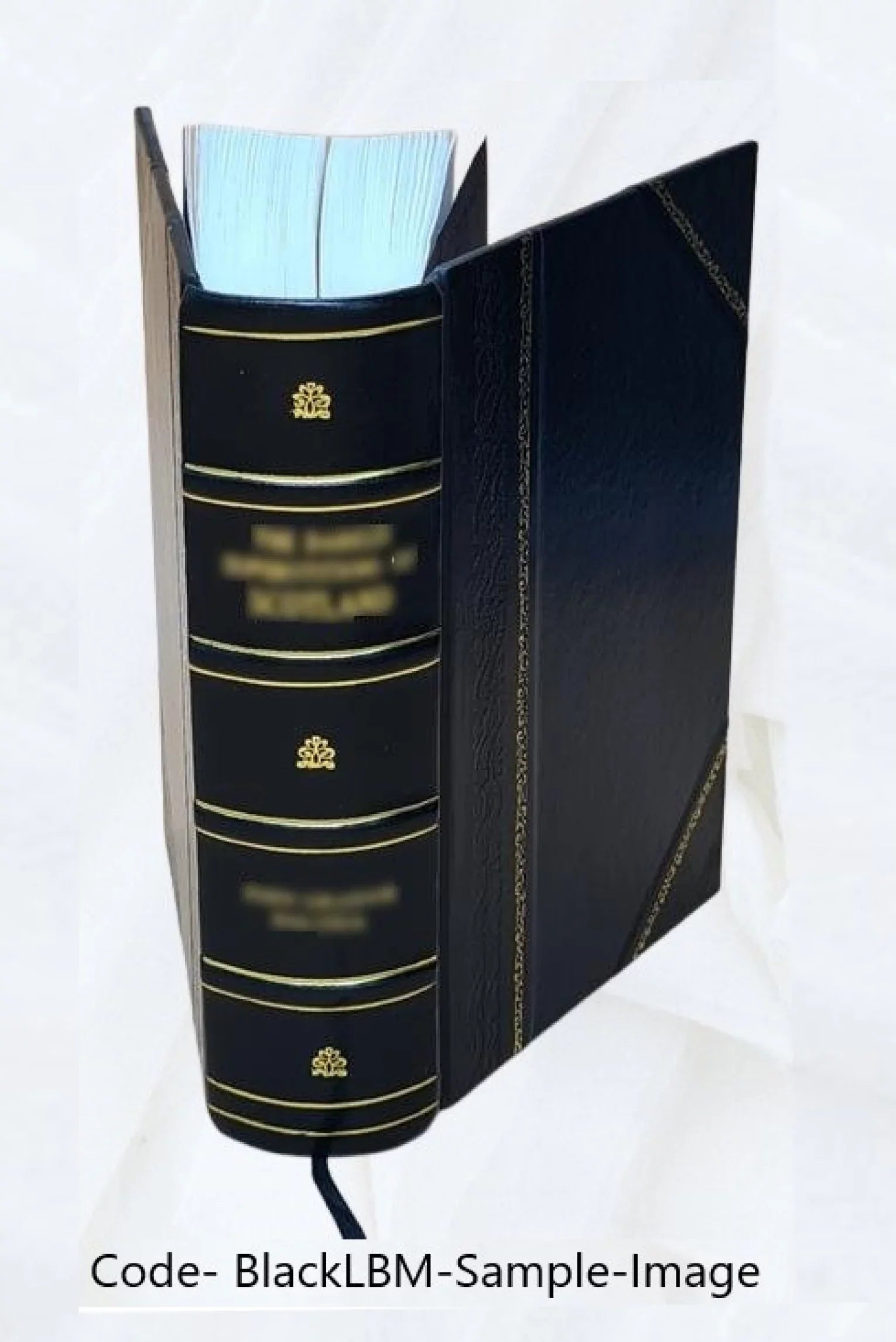 Investigation of the assassination of President John F. Kennedy : hearings before the President's Commission on the Assassination of President Kennedy. Volume v.22 1964 [Leather Bound]