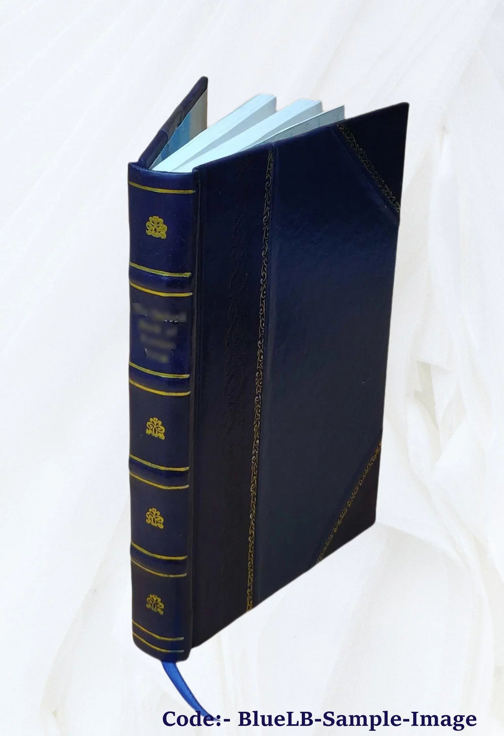 The bi-lateral cypher of Sir Francis Bacon Protection in his works and deciphered by Mrs. Elizabeth Wells Gallup. 1910 [Leather Bound]