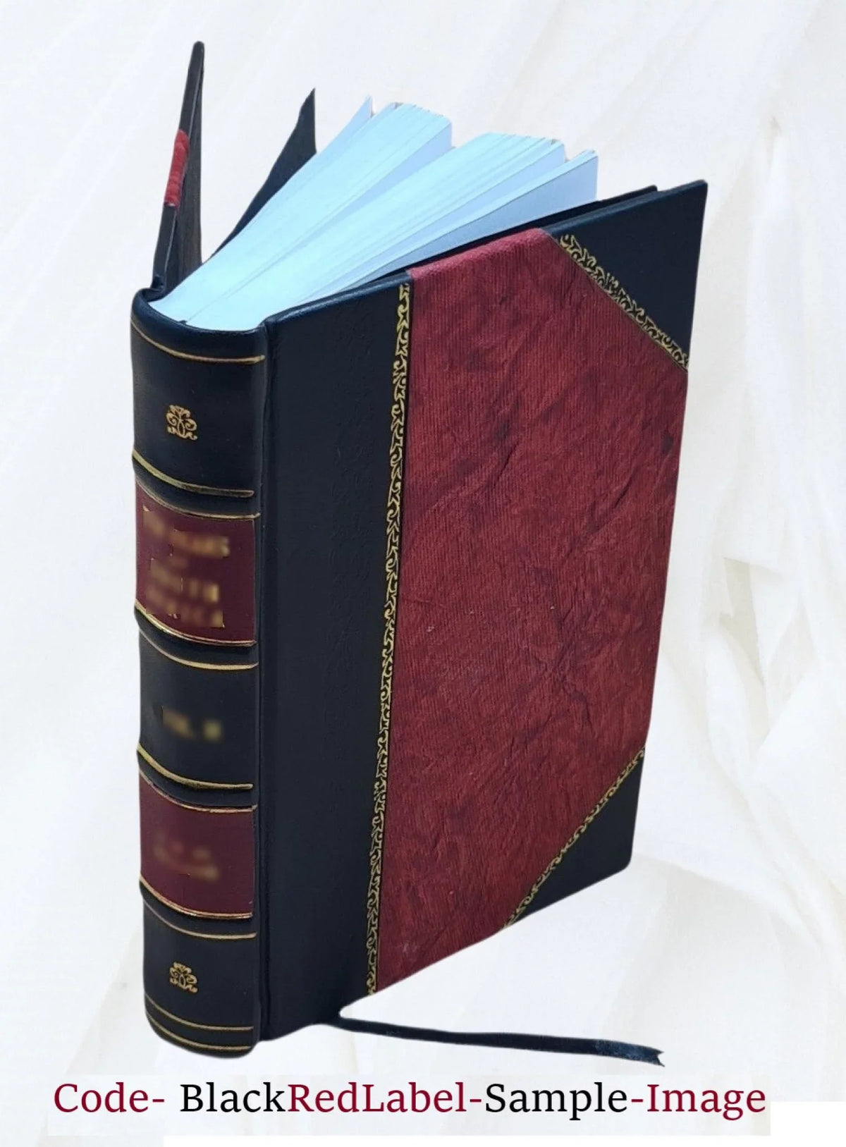 The bi-lateral cypher of Sir Francis Bacon Protection in his works and deciphered by Mrs. Elizabeth Wells Gallup. 1910 [Leather Bound]