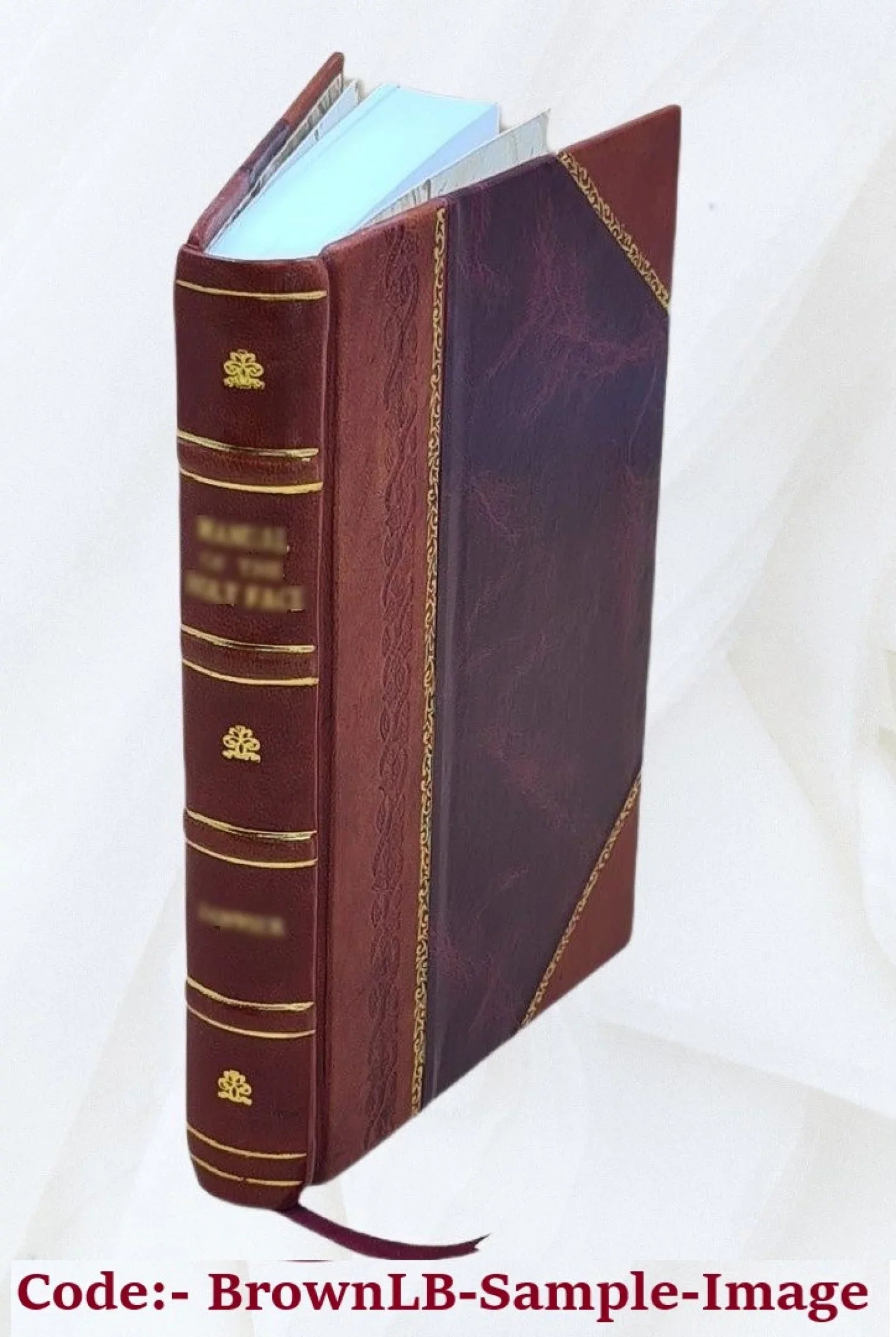 The bi-lateral cypher of Sir Francis Bacon Protection in his works and deciphered by Mrs. Elizabeth Wells Gallup. 1910 [Leather Bound]