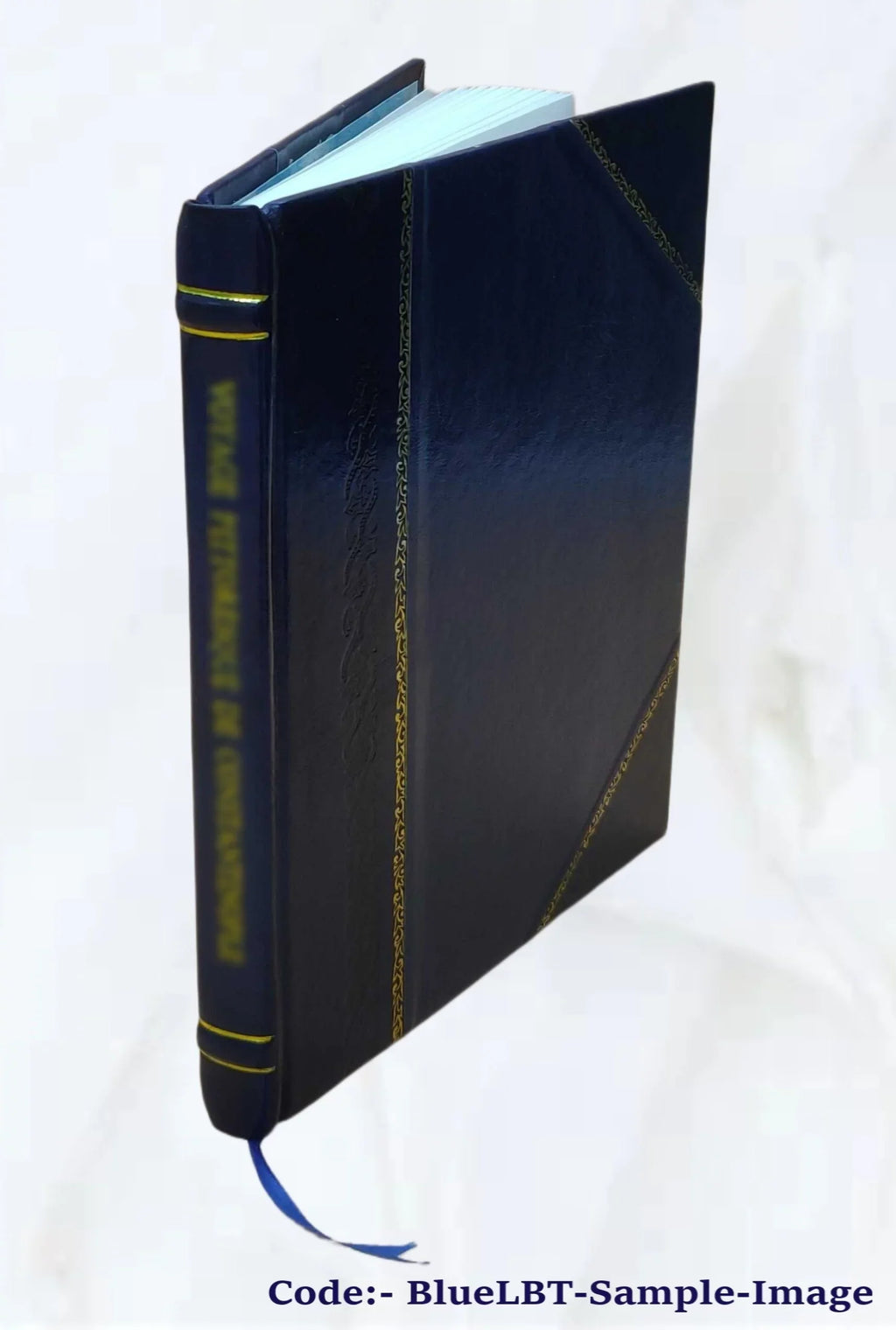 Sur "Amadas et Idoine" 1901 [Leather Bound]